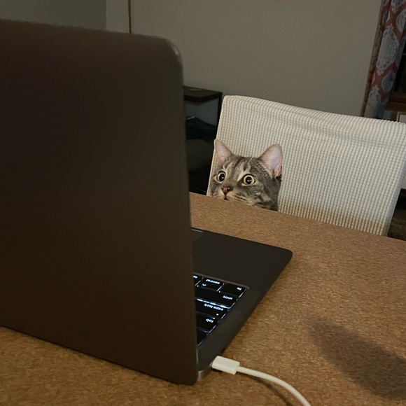 Welcome to my closet - Picture 2 of 2